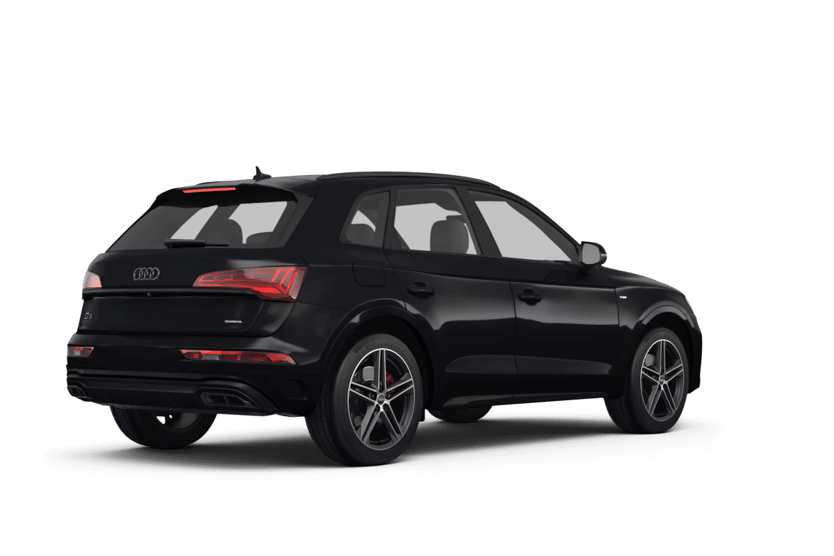 Audi Q5 - Back view Audi Q5 - Back view